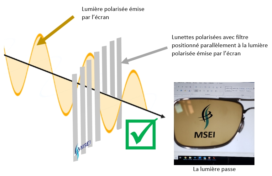 Les lunettes polarisées : comment ça marche ? – MSEI – MultiSciences  Expertises Inc